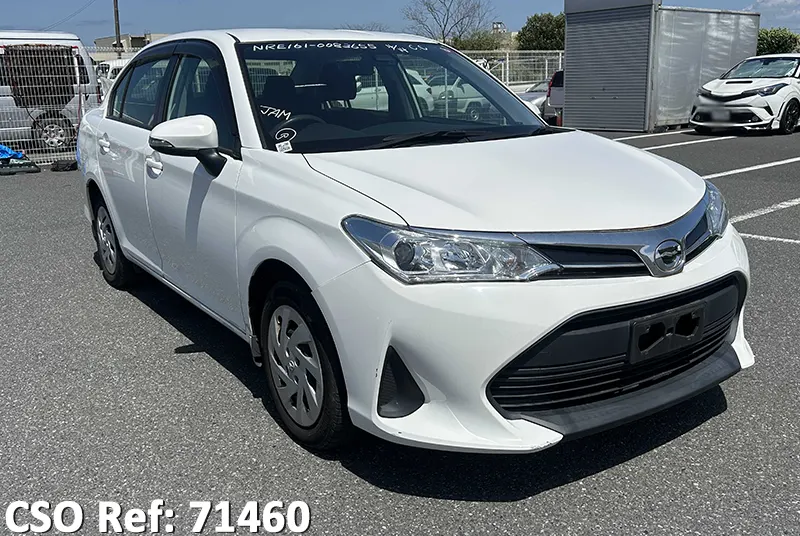 Toyota / Corolla Axio 2019